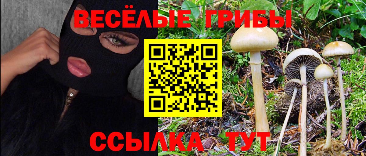 Галлюциногенные грибы Cubensis Россошь