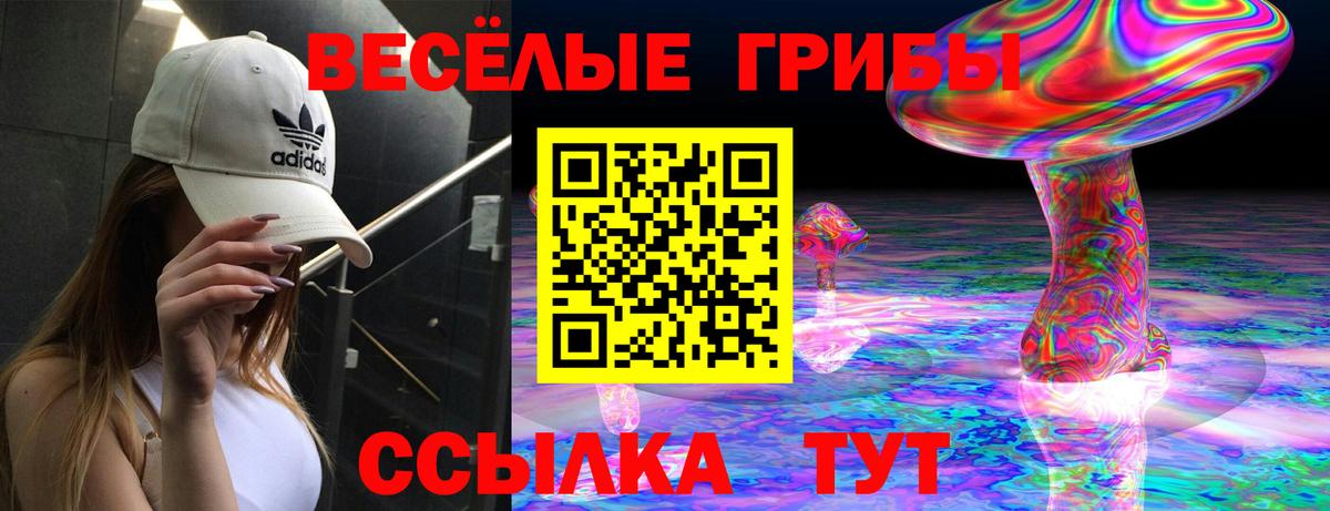 Россошь  Псилоцибиновые грибы GOLDEN TEACHER  Вход с VPN  Псилоцибиновые грибы мицелий 